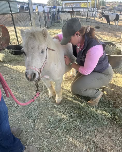 Team and community activities